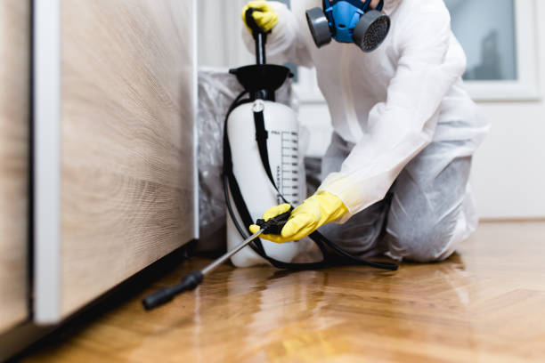 Pest Prevention Services in Bethany, WV