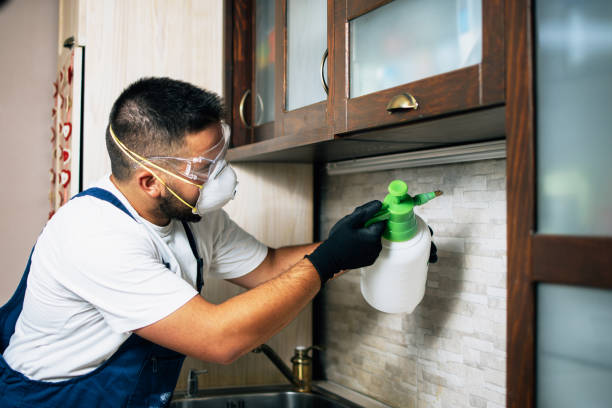 Best Commercial Pest Control Services  in Bethany, WV